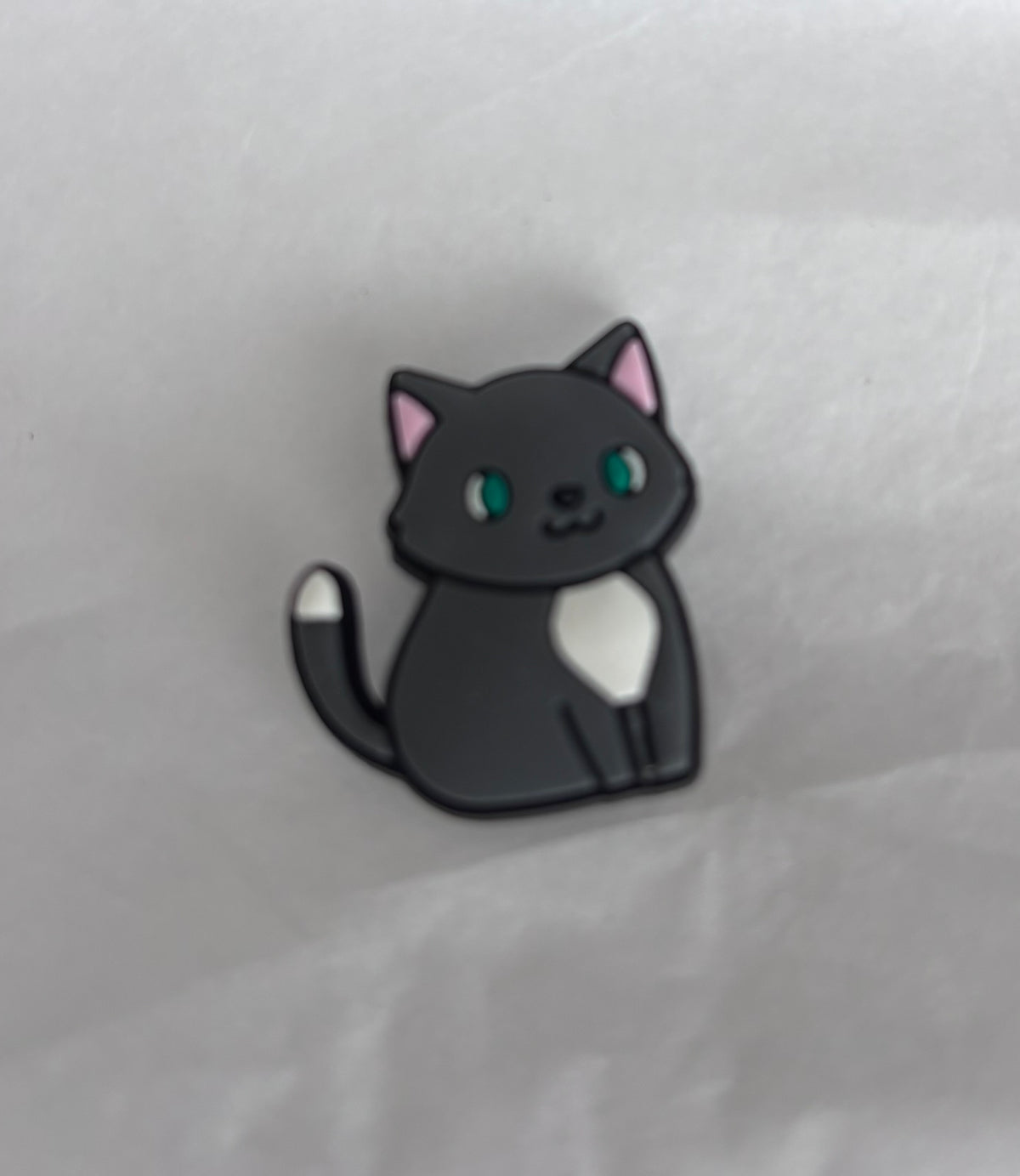 Green eyed grey cat