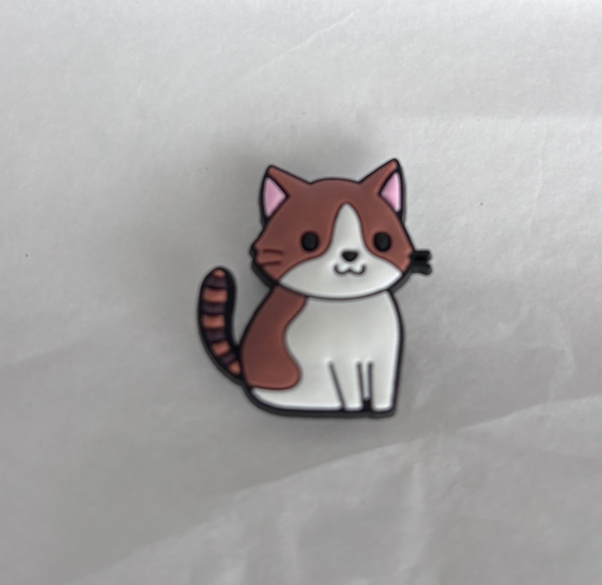 Brown and white cat