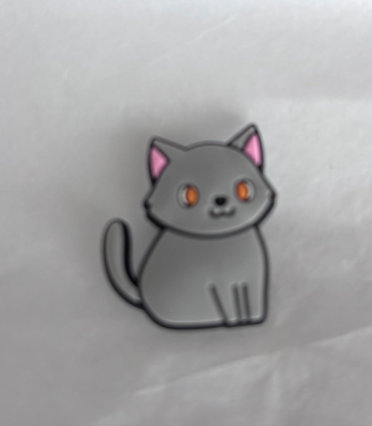 Grey cat