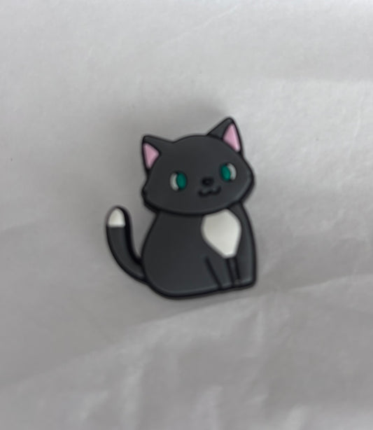 Green eyed grey cat