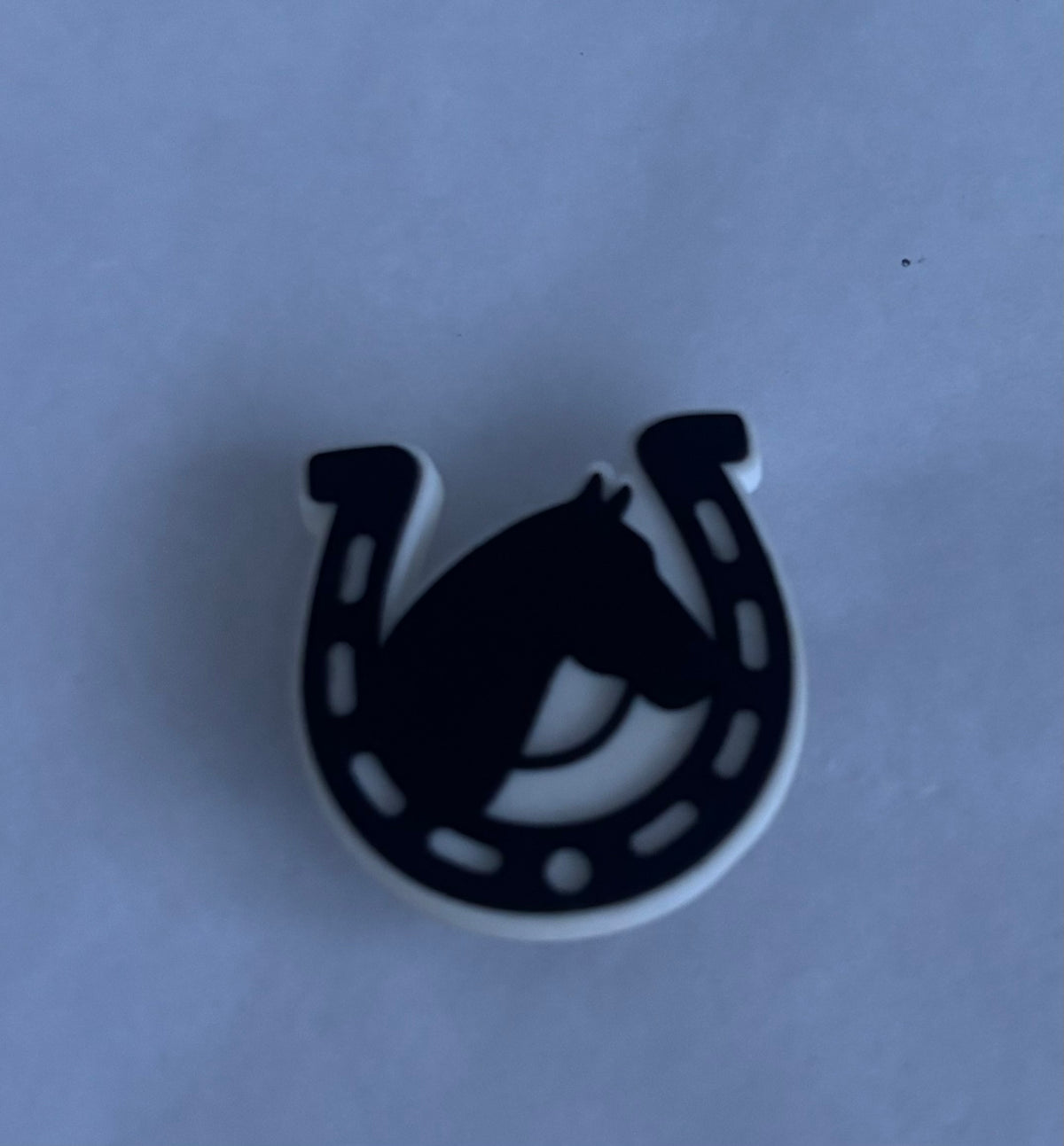 Horseshoe & Horse shoe charm
