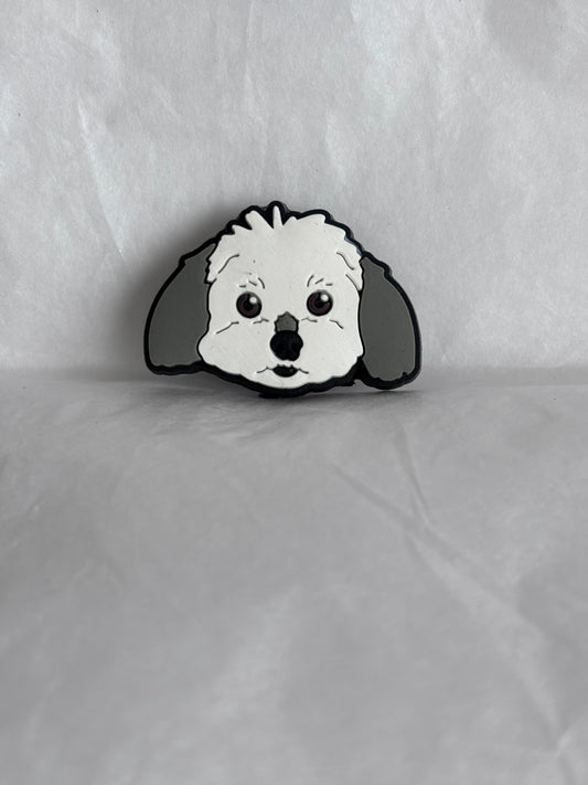 Maltipoo dog shoe charm