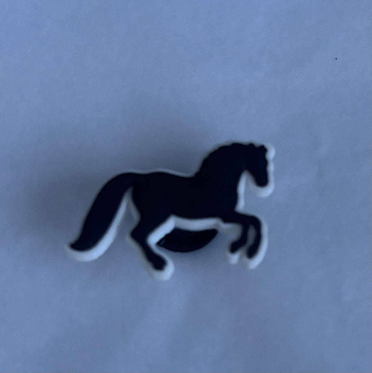 Horse shoe charm