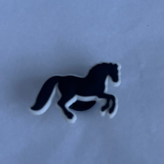 Horse shoe charm