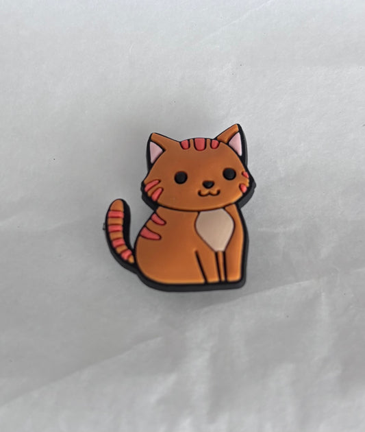 Ginger Tom cat