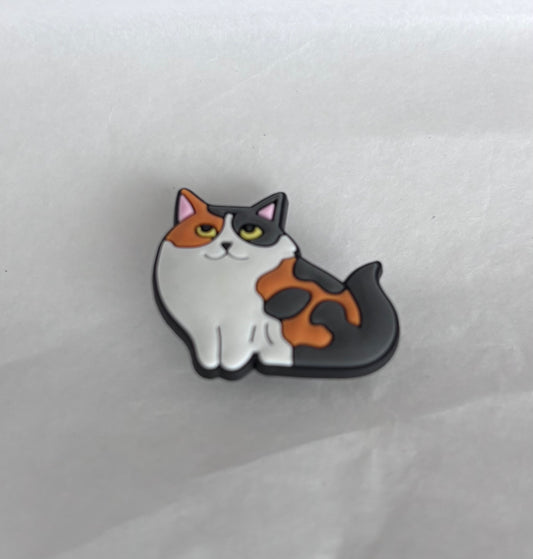 Tabby cat 1