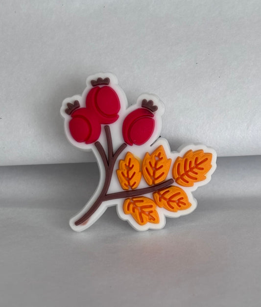 Autumn berry leaf