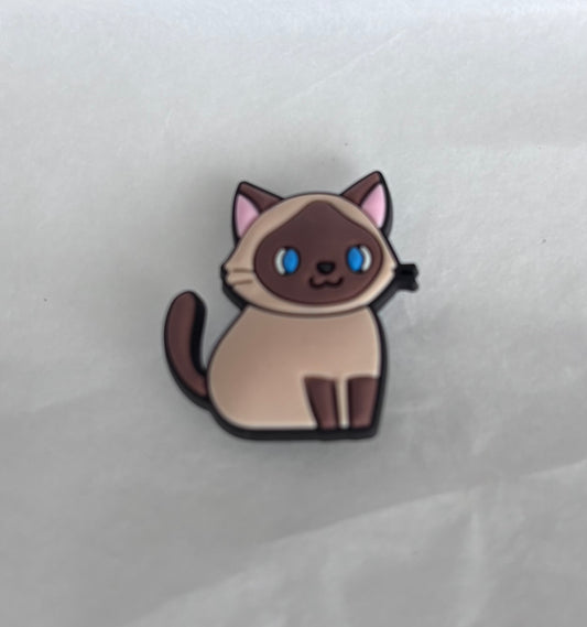 Blue eyed cat