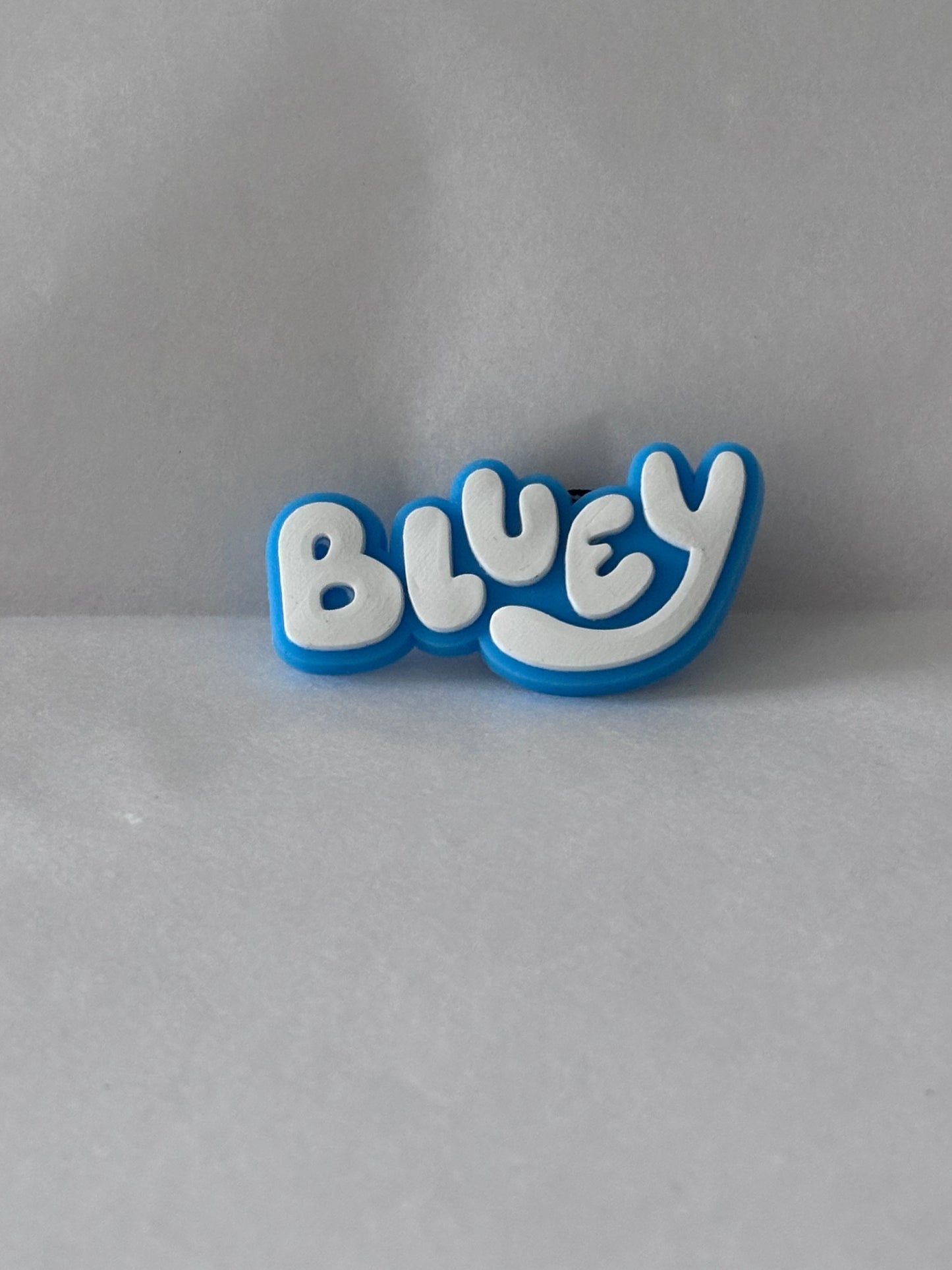 Bluey charm set